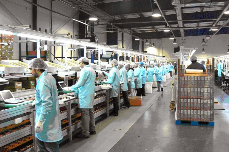 Vendas de produtos seriados no mundo B2B estrategias eficientes para o sucesso