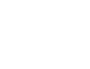 blog icon
