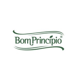 logo bom principio